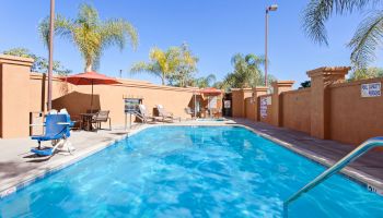 The image shows an outdoor swimming pool surrounded by palm trees and lounge chairs. The pool area is enclosed by orange walls.